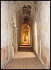 Antigua - Ruinas de Santa Clara - DSC00943.JPG