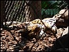 Ciudad de Guatemala - DSC01646.JPG