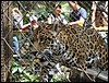 Ciudad de Guatemala - DSC01650.JPG