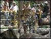 Ciudad de Guatemala - DSC01651.JPG