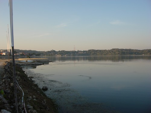 Flores - DSC01411.JPG