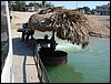 Flores - DSC01404.JPG