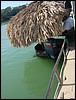 Flores - DSC01406.JPG