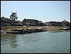 Flores - DSC01407.JPG