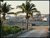 Flores - DSC01413.JPG