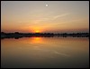 Flores - DSC01438.JPG