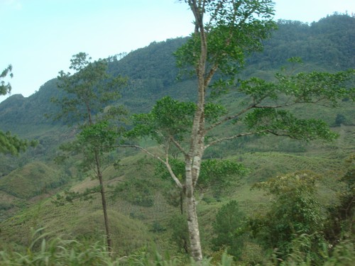 Lanquin - DSC01325.JPG