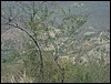 Lanquin - DSC01302.JPG