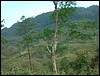 Lanquin - DSC01325.JPG