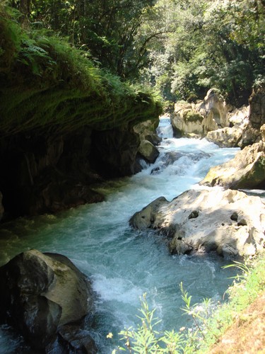 Semuc Champey - DSC01368.JPG