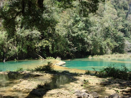 Semuc Champey - DSC01373.JPG