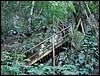 Semuc Champey - DSC01346.JPG