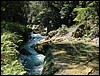 Semuc Champey - DSC01365.JPG