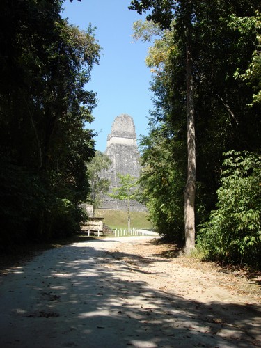 Tikal - DSC01475.JPG