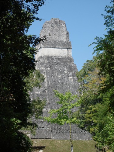 Tikal - DSC01476.JPG