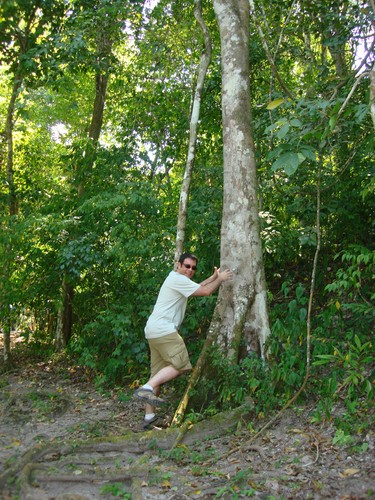 Tikal - DSC01519.JPG