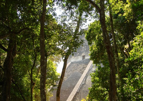 Tikal - DSC01520.JPG