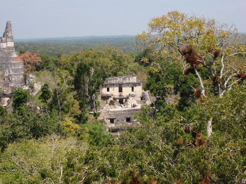 Tikal - DSC01525.JPG