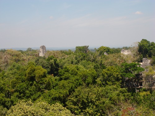 Tikal - DSC01526.JPG