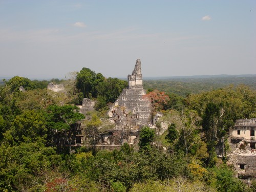 Tikal - DSC01527.JPG