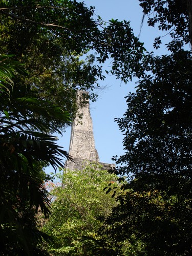 Tikal - DSC01546.JPG