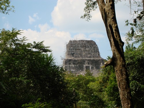 Tikal - DSC01562.JPG