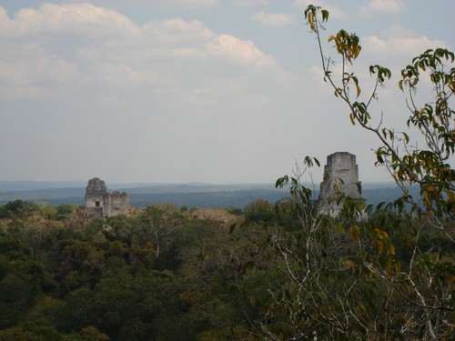 Tikal - DSC01573.JPG