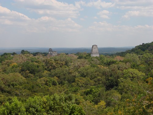 Tikal - DSC01577.JPG