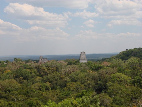 Tikal - DSC01579.JPG