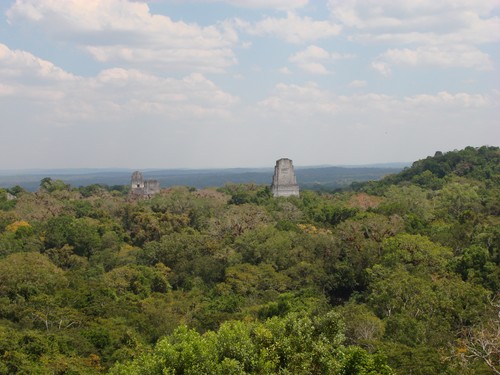 Tikal - DSC01580.JPG