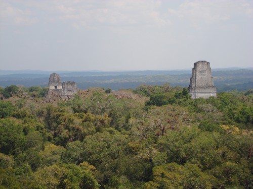 Tikal - DSC01584.JPG