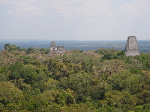 Tikal - DSC01585.JPG