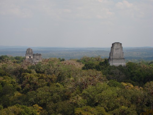 Tikal - DSC01589.JPG