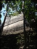 Tikal - DSC01471.JPG