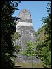 Tikal - DSC01476.JPG