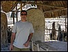 Tikal - DSC01488.JPG