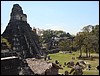 Tikal - DSC01491.JPG