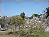 Tikal - DSC01503.JPG