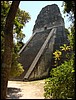 Tikal - DSC01521.JPG