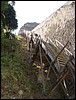 Tikal - DSC01523.JPG