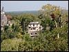 Tikal - DSC01525.JPG