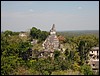 Tikal - DSC01527.JPG