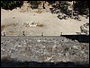 Tikal - DSC01528.JPG