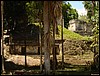 Tikal - DSC01537.JPG