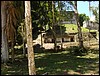 Tikal - DSC01540.JPG