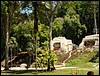 Tikal - DSC01542.JPG