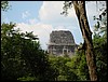 Tikal - DSC01562.JPG