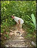 Tikal - DSC01570.JPG