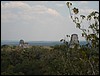 Tikal - DSC01573.JPG
