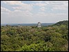 Tikal - DSC01580.JPG